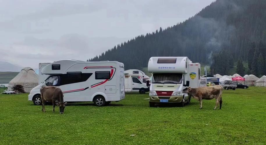 新疆房车自驾最新路线怎么走？-第2张图片-花冠旅游服务