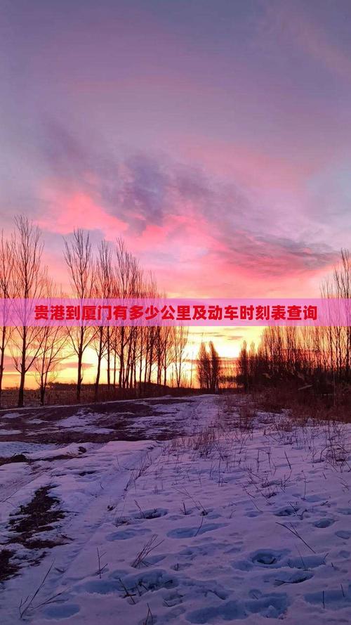 贵港到福建动车时刻表最新查询？-第1张图片-花冠旅游服务