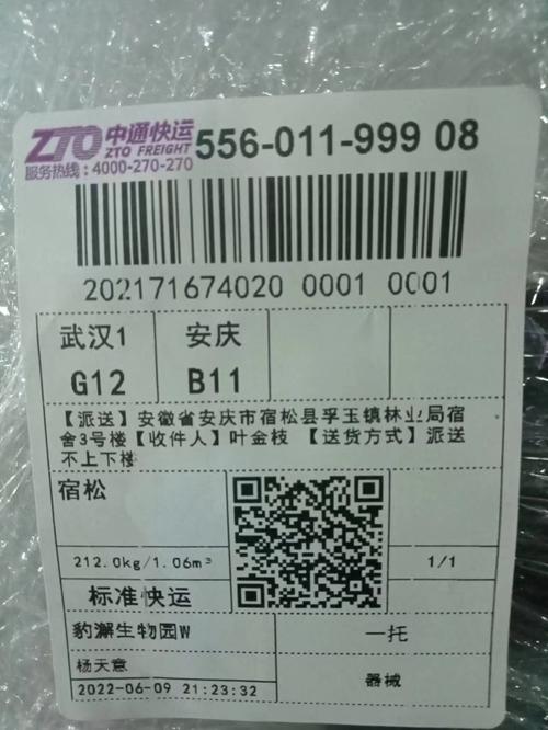 新疆中通快递网点怎么查？-第1张图片-花冠旅游服务