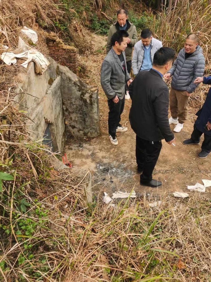 江西大余县青龙镇有何新闻动态？-第2张图片-花冠旅游服务