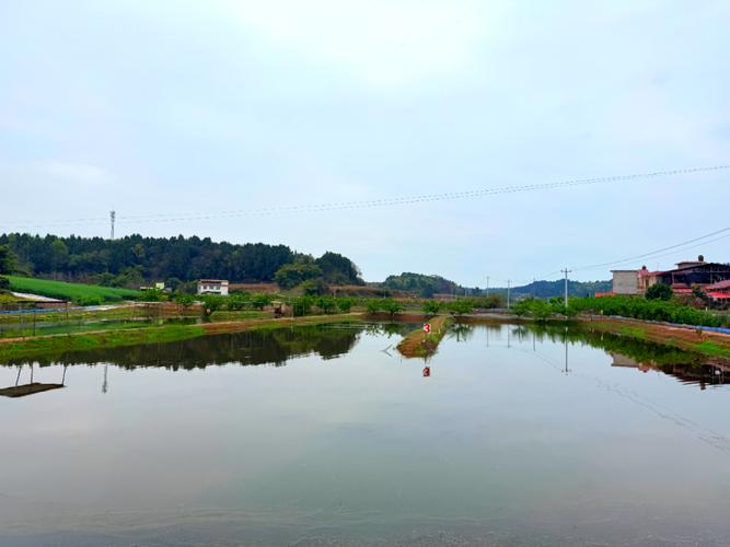 江西大余县青龙镇有何新闻动态？-第3张图片-花冠旅游服务