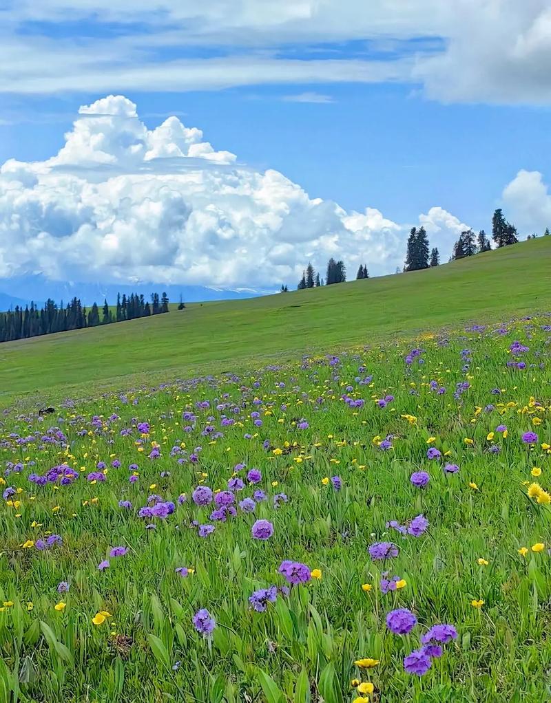 新疆那拉提草原具体在哪个位置？-第2张图片-花冠旅游服务