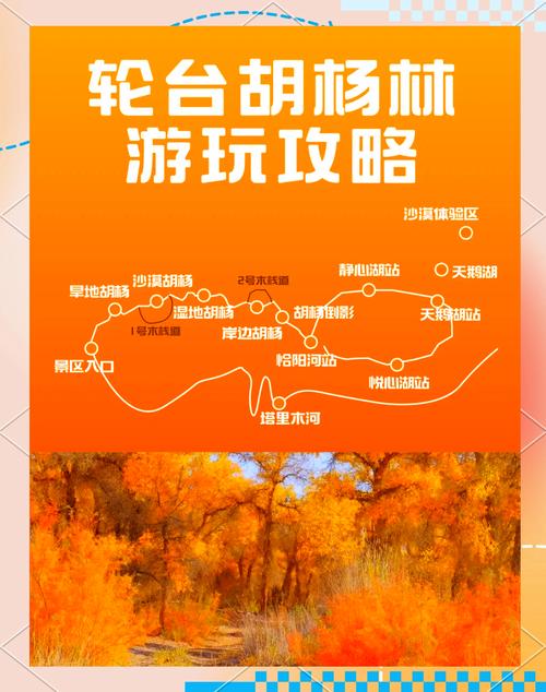 新疆胡杨林门票价格是多少？-第2张图片-花冠旅游服务