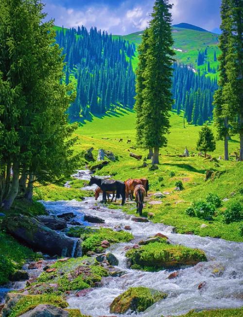 新疆有哪些值得一玩的景点？-第3张图片-花冠旅游服务