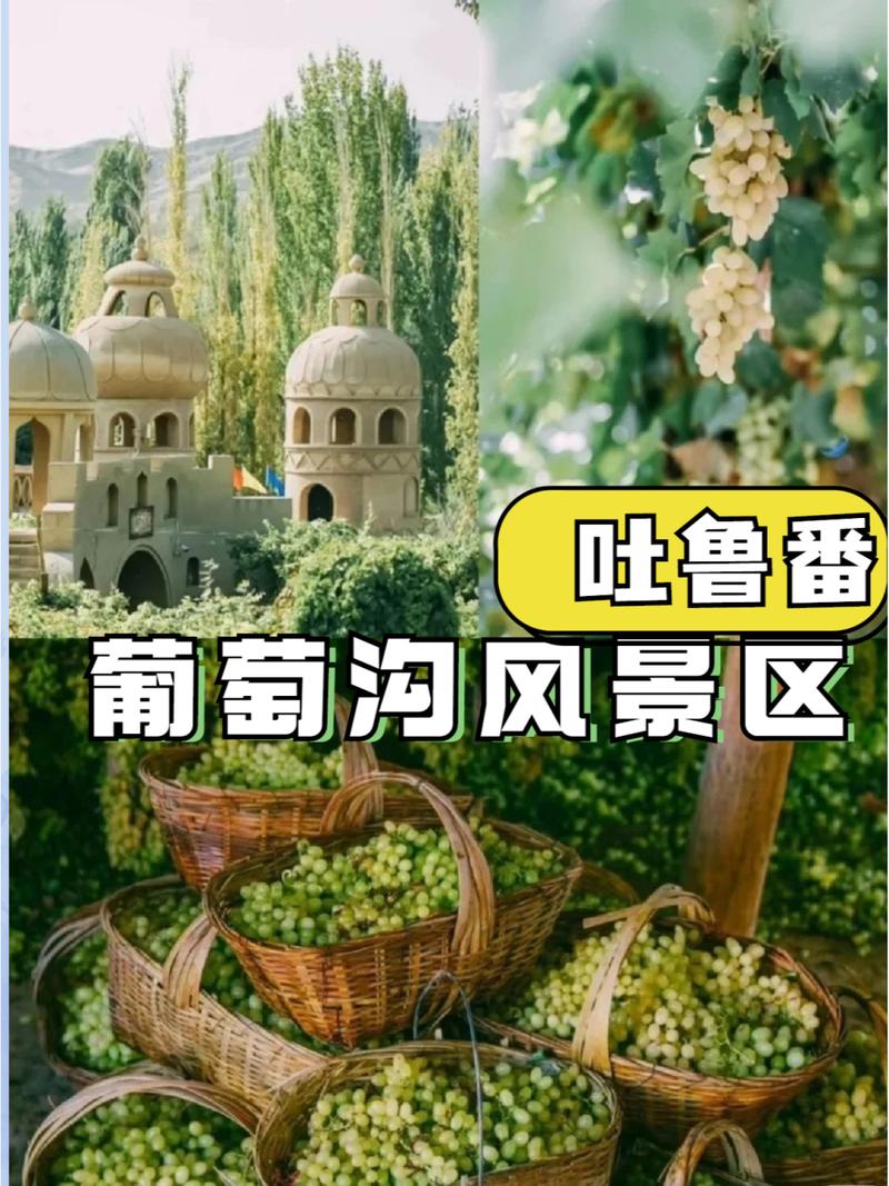 吐鲁番葡萄沟有何独特魅力与故事？-第1张图片-花冠旅游服务