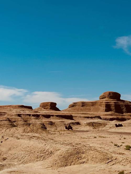阿克苏有哪些必打卡景点？-第1张图片-花冠旅游服务