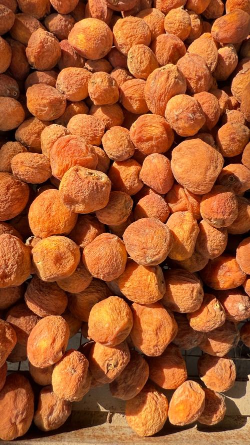 新疆阿拉尔有哪些特色特产？-第1张图片-花冠旅游服务