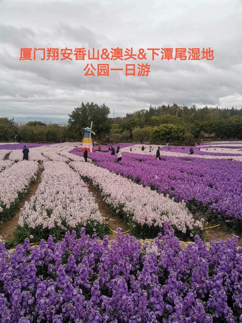 厦门翔安有哪些必打卡旅游景点？-第2张图片-花冠旅游服务