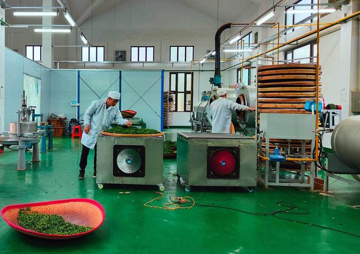 福建陆禾茶业有限公司有何特色或优势?-第1张图片-花冠旅游服务 福建陆禾茶业有限公司有何特色或优势?-第1张图片-花冠旅游服务