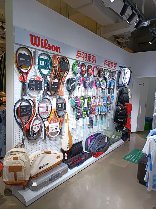 福建乐登体育用品公司是做什么的？-第1张图片-花冠旅游服务