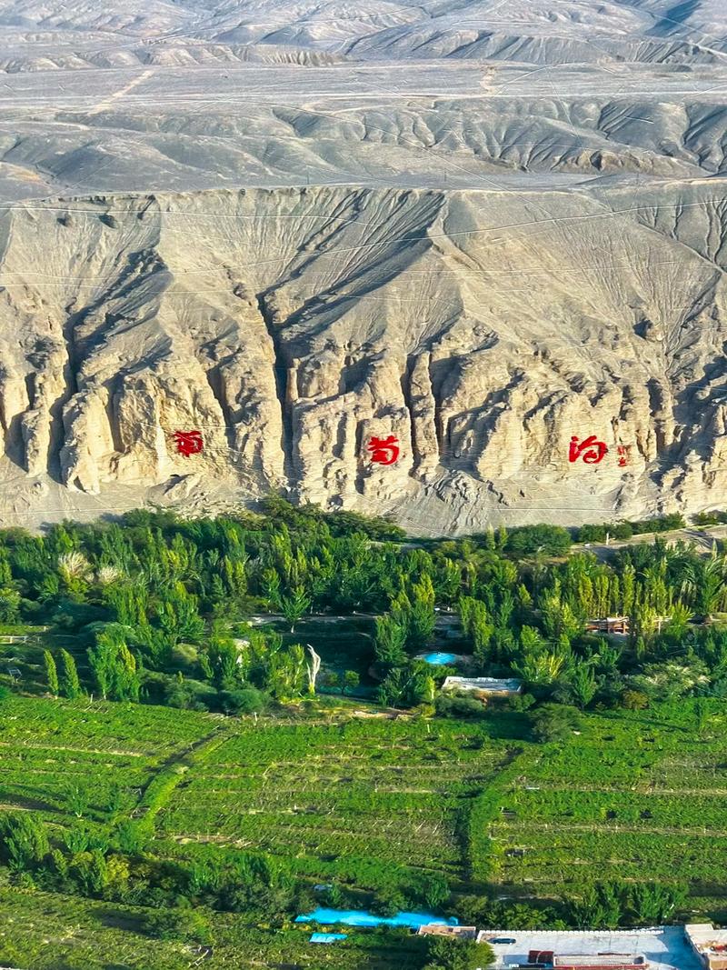 葡萄沟为何成新疆葡萄甜蜜名片？-第3张图片-花冠旅游服务