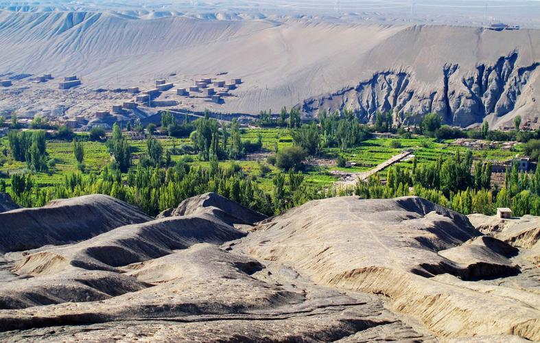 吐鲁番葡萄沟的葡萄为何如此诱人？-第1张图片-花冠旅游服务