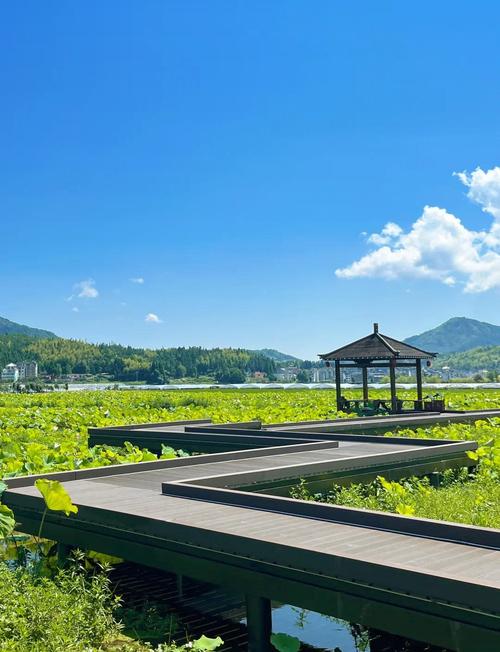 福建周边有哪些值得一去的旅游景点？-第1张图片-花冠旅游服务