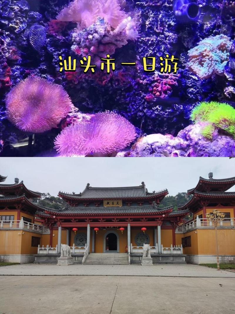 福建离汕头近的景点有哪些？-第2张图片-花冠旅游服务