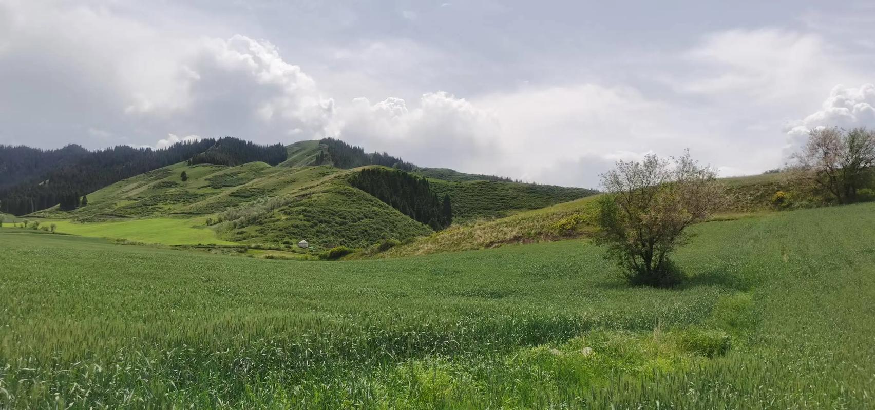 新疆木垒哈萨克自治县有何独特魅力？-第1张图片-花冠旅游服务