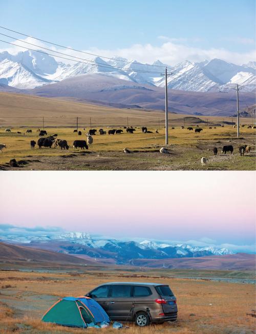 新疆自驾游选什么车最合适？-第2张图片-花冠旅游服务