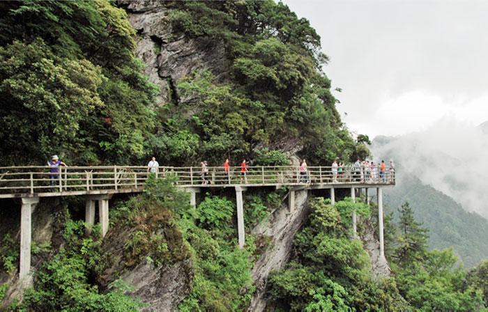 井冈山杜鹃山索道有何独特之处？-第1张图片-花冠旅游服务