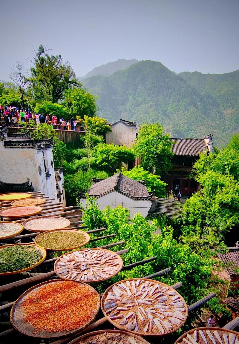 江西4A乡村旅游景点-第1张图片-花冠旅游服务