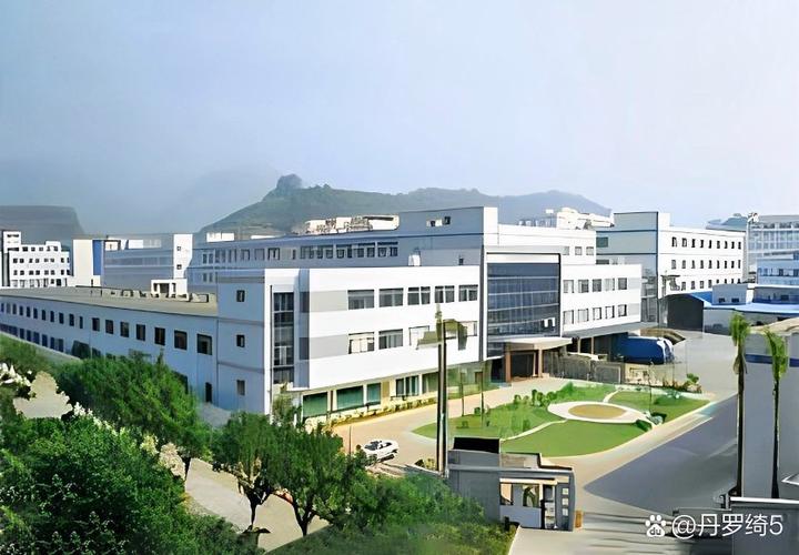 福建华元箱包有限公司怎么样？-第2张图片-花冠旅游服务