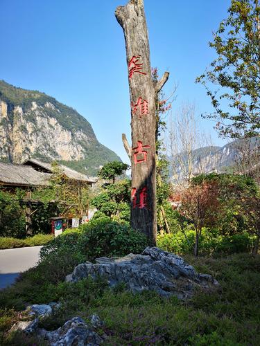 酉阳到福建汽车时刻表几点发车？-第1张图片-花冠旅游服务