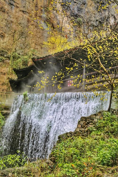 酉阳到福建汽车时刻表几点发车？-第2张图片-花冠旅游服务