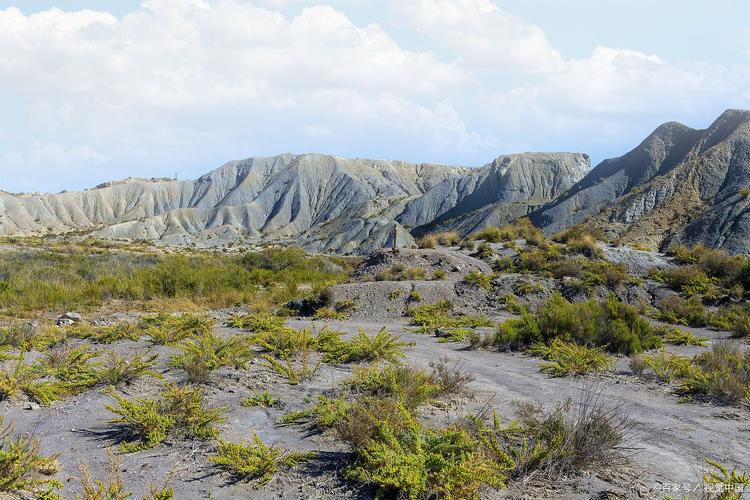 新疆大西沟风景区有何独特魅力？-第2张图片-花冠旅游服务