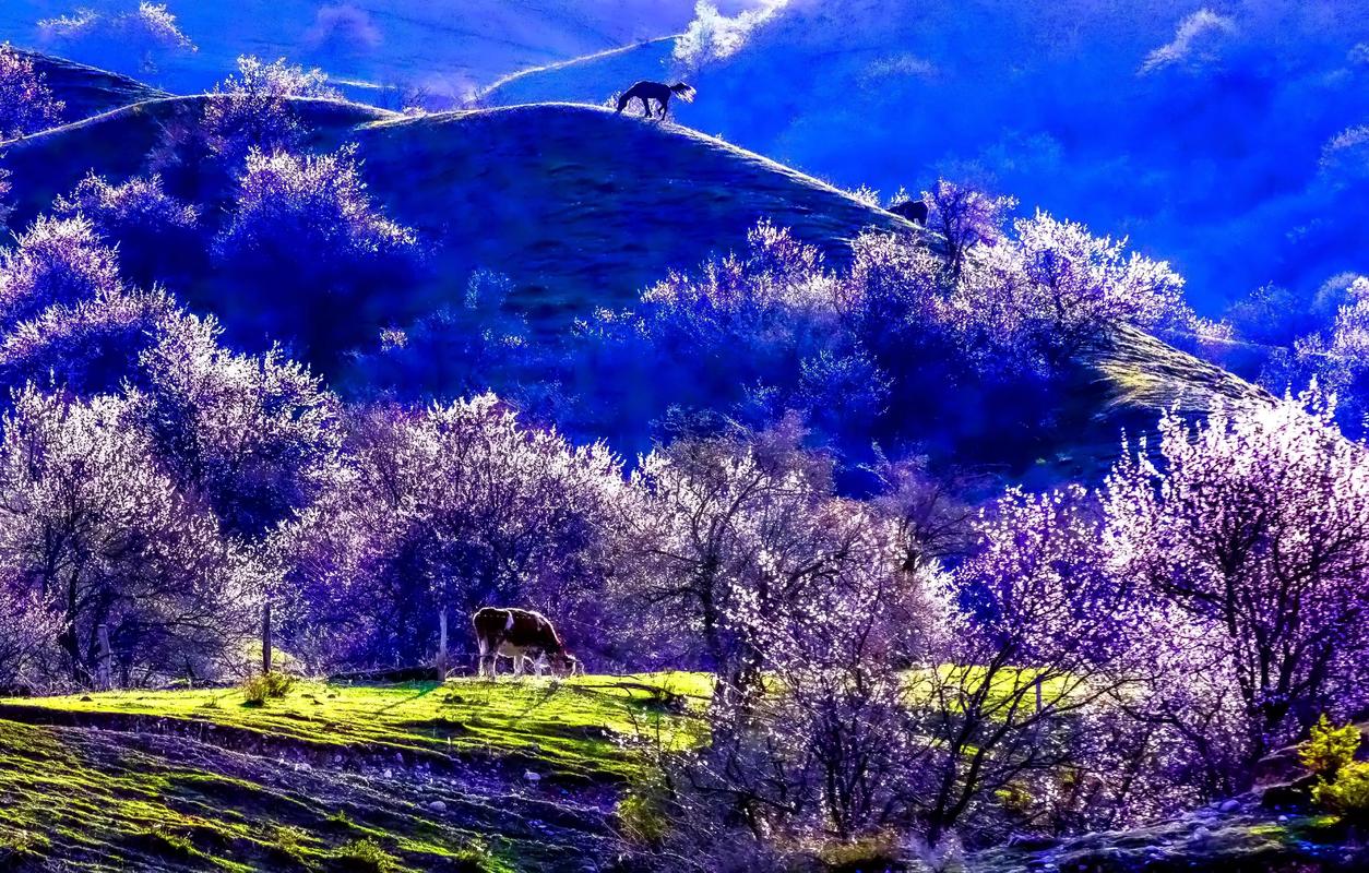 新疆大西沟风景区有何独特魅力？-第1张图片-花冠旅游服务
