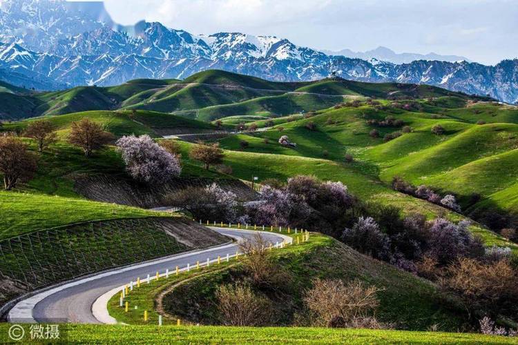 新疆大西沟风景区有何独特魅力？-第3张图片-花冠旅游服务