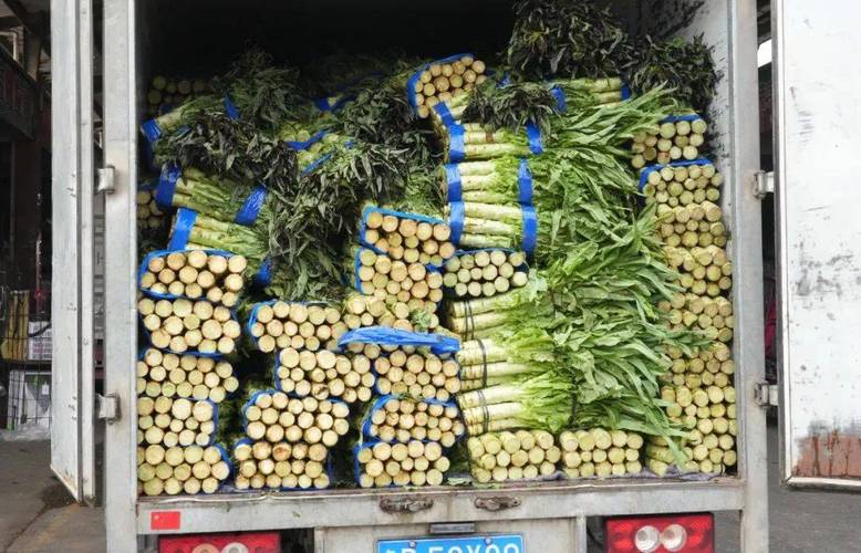 江西乐平蔬菜批发市场怎么样？-第2张图片-花冠旅游服务