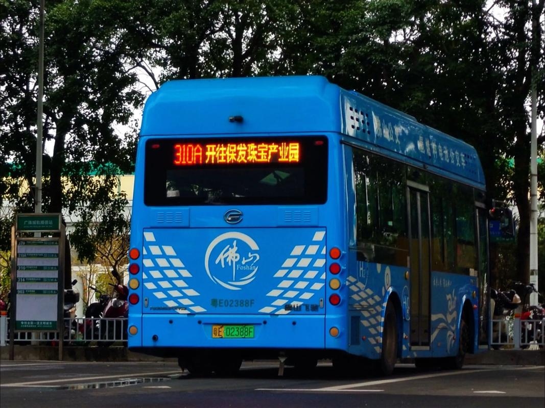 佛山到江西九江的汽车-第3张图片-花冠旅游服务