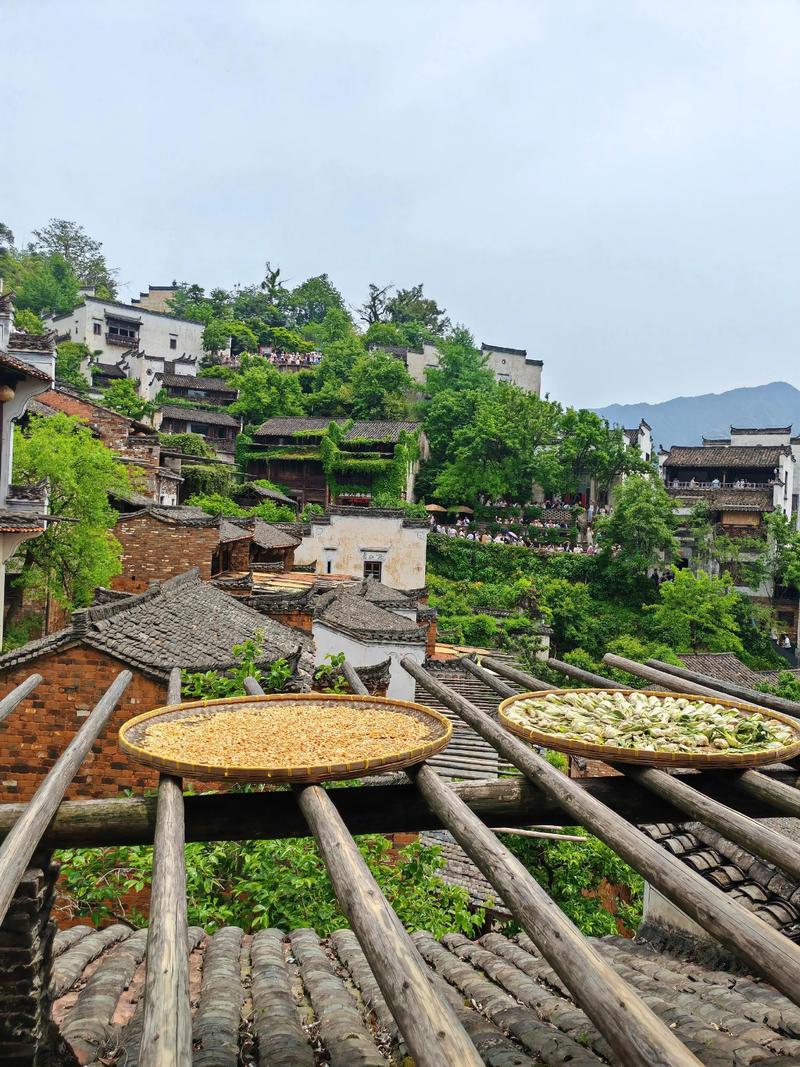 婺源有哪些必打卡旅游景点？-第1张图片-花冠旅游服务