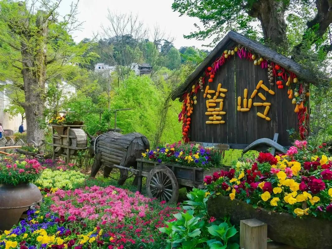 婺源有哪些必打卡旅游景点？-第2张图片-花冠旅游服务