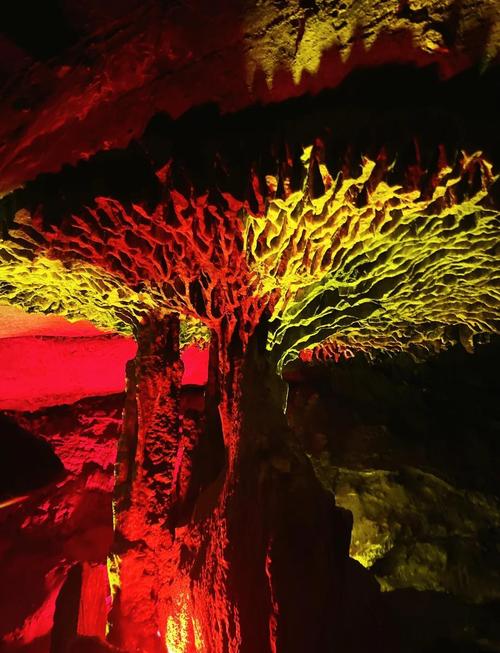 福建龙岩新罗有哪些必游景点？-第1张图片-花冠旅游服务