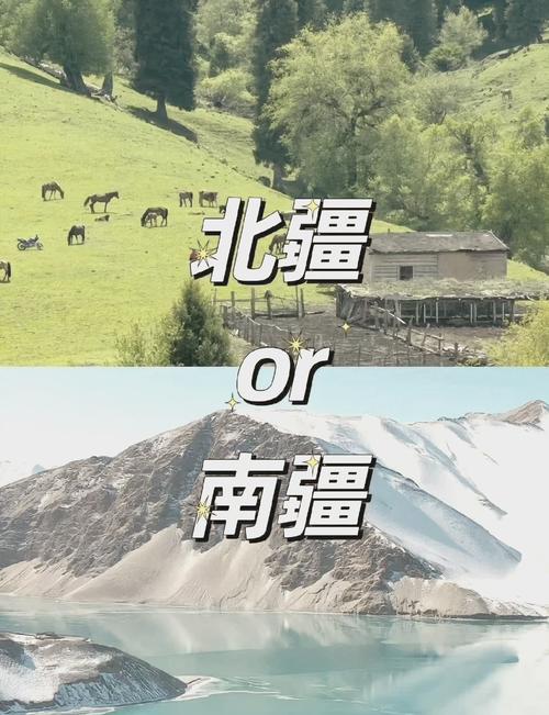 新疆海拔高度具体是多少米？-第1张图片-花冠旅游服务