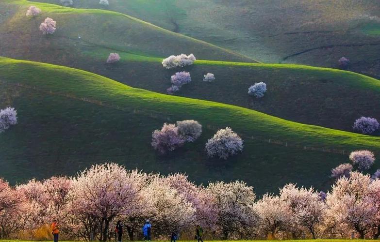 新疆三月哪里好？春景初绽，哪里值得逛？-第1张图片-花冠旅游服务