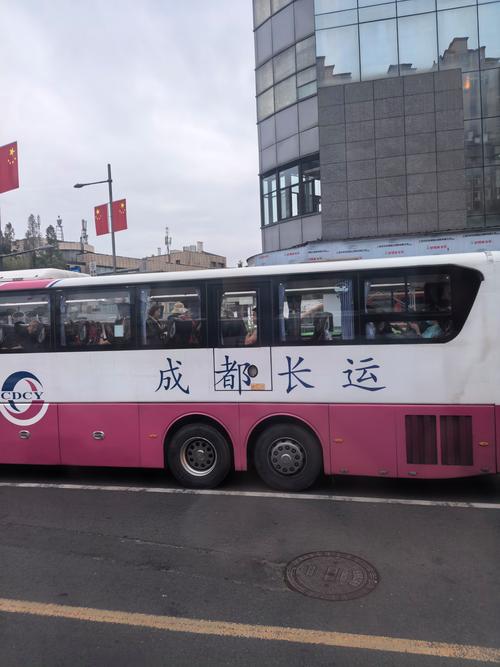 新疆到四川的返程车-第3张图片-花冠旅游服务