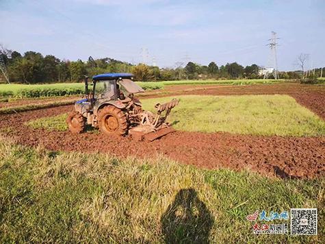 江西省信丰县大塘埠镇有何特色或故事？-第1张图片-花冠旅游服务