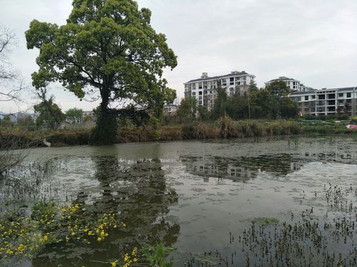 江西省修水县邮政编码-第2张图片-花冠旅游服务