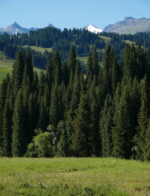 新疆百里画廊风景区有何独特魅力？-第2张图片-花冠旅游服务