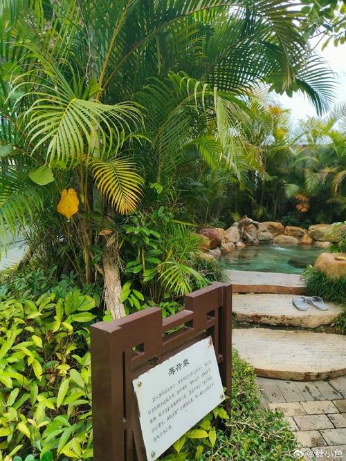 泉州惠安聚龙小镇有何独特魅力？-第2张图片-花冠旅游服务