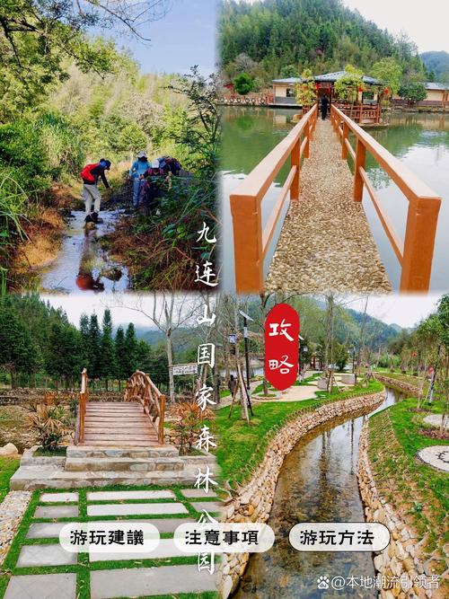 江西九连山森林度假村有何独特魅力？-第2张图片-花冠旅游服务