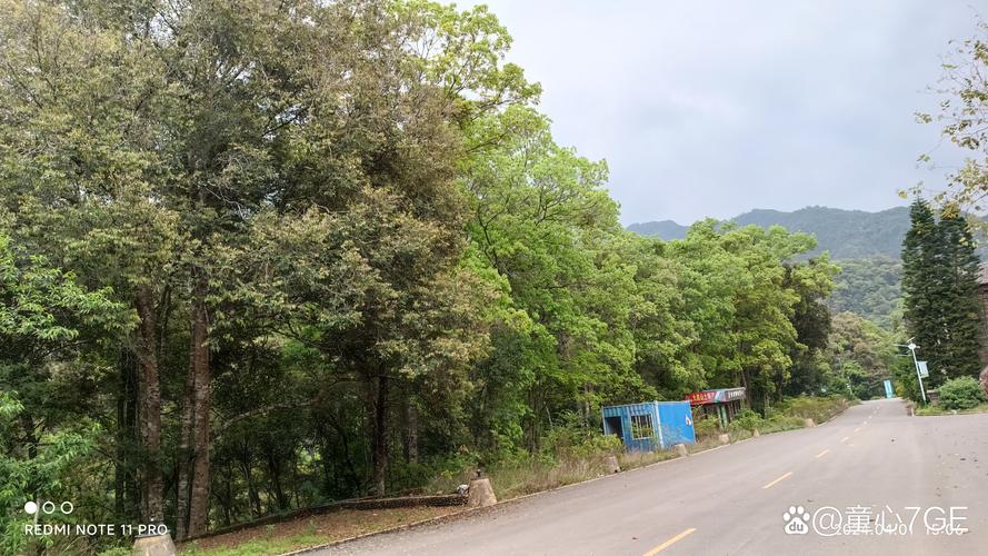 江西九连山森林度假村有何独特魅力？-第3张图片-花冠旅游服务