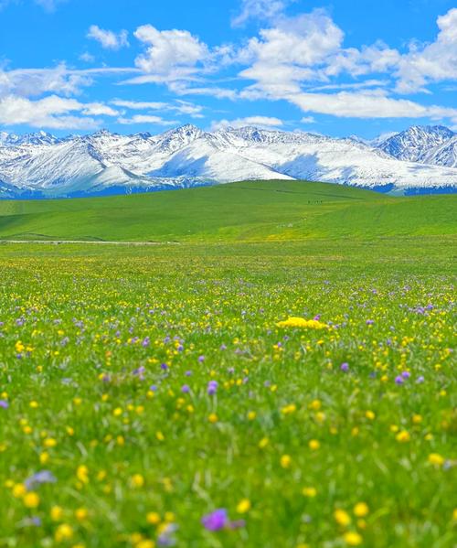 喀拉峻草原美如画，为何能成新疆名片？-第1张图片-花冠旅游服务
