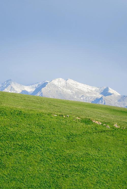 喀拉峻草原美如画，为何能成新疆名片？-第3张图片-花冠旅游服务