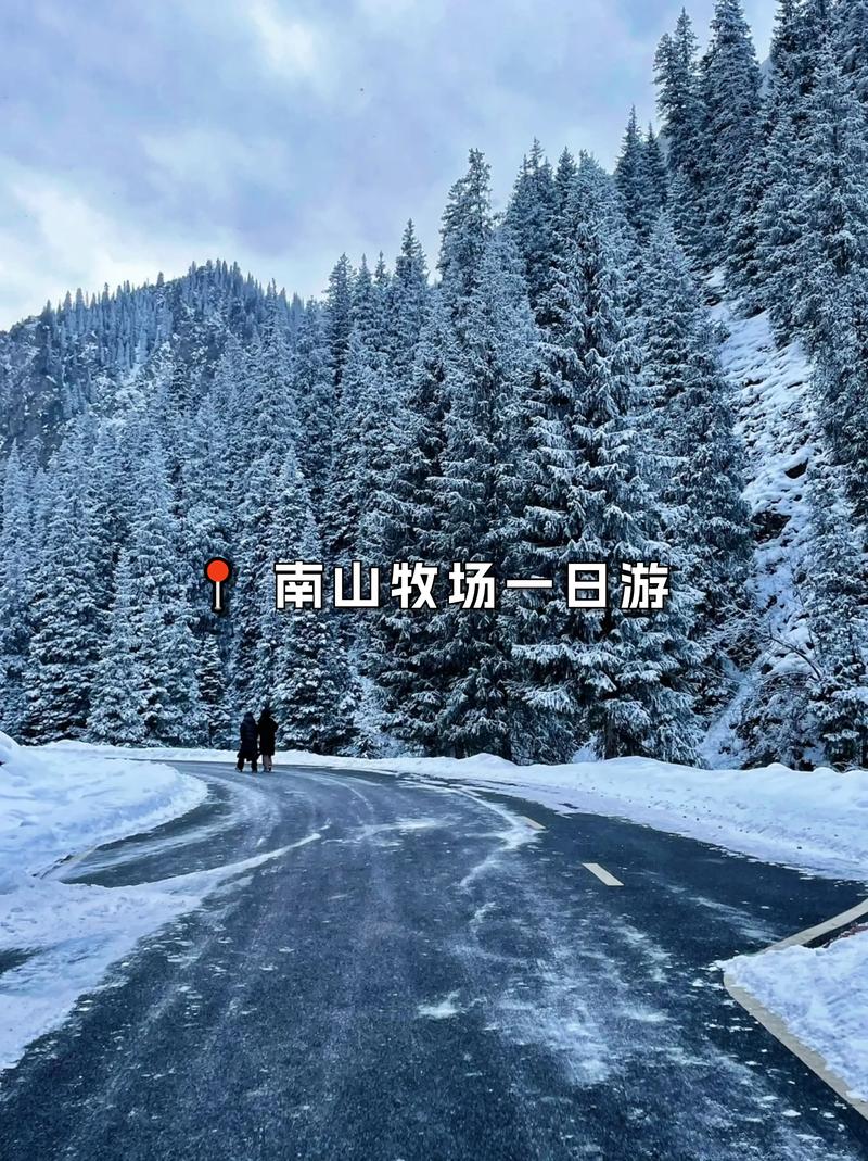 新疆南山牧场一日游，有哪些必体验？-第2张图片-花冠旅游服务