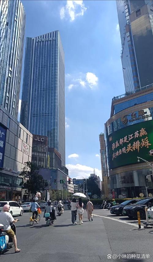 万达广场金沙江西路有什么特色？-第3张图片-花冠旅游服务