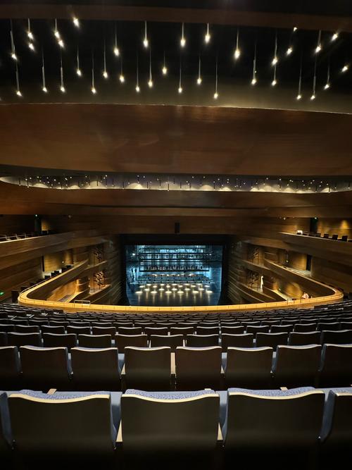 江西南昌新中原大剧院有何特色？-第1张图片-花冠旅游服务